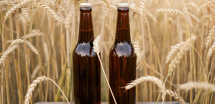 What is Malt in home brewing